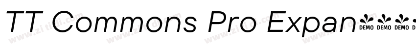 TT Commons Pro Expan字体转换 TT Commons Pro Expan字体转换